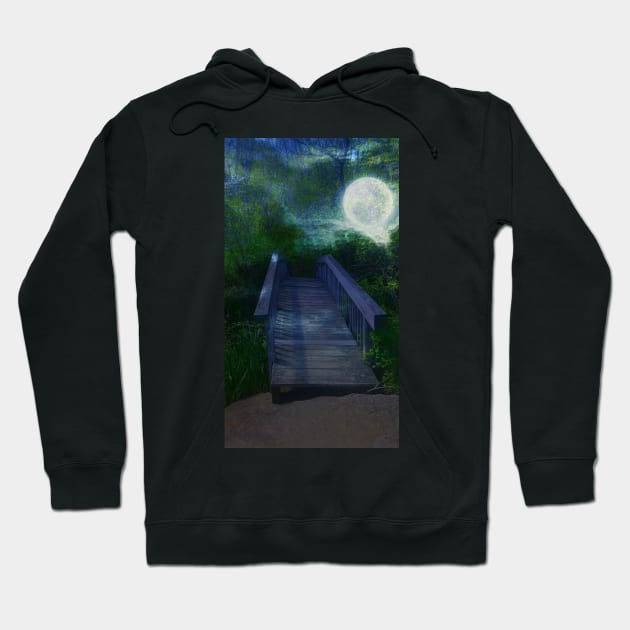 Bridge Hoodie by teenamarie23art